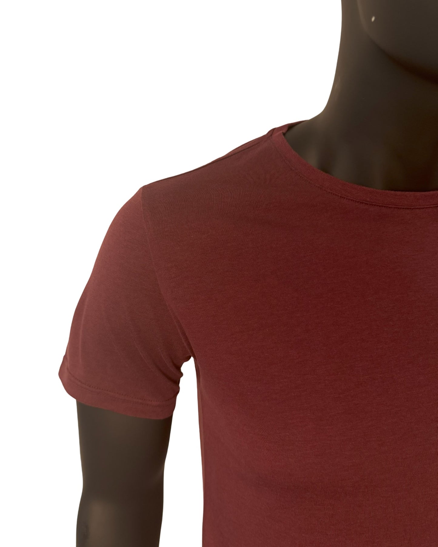 Classic Series Bordeaux- Tencel Lyocell / Organic Cotton Mix dark red blank T-Shirt 180 G/M²